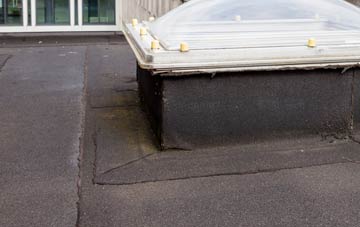 disadvantages of Friday Bridge flat roofs