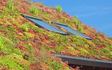 Friday Bridge living roof systems
