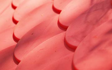 Friday Bridge plastic roof costs